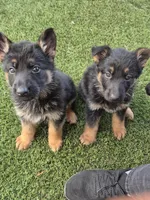 processed/cb0df7f2-c011-4e0a-a170-2164ccd7abf2/facility/30afd069-d886-46d3-8d2a-a1252043e198