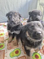 processed/cb0df7f2-c011-4e0a-a170-2164ccd7abf2/facility/6b0067a9-1fc6-4adc-80f6-fef117e940cf