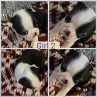 processed/cb1646f6-f37f-4591-8f57-b96d7ba19ab8/listing/fb9e14e4-4fc8-4544-a5ab-039da511ab99/21663a2f-4854-4bfa-add6-06f0da301a90