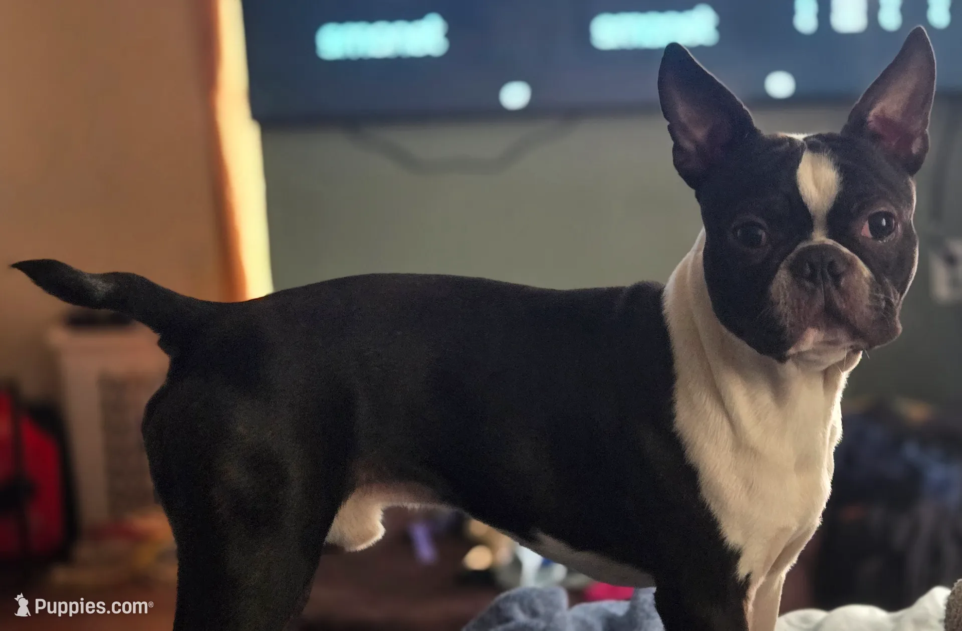 processed/cb1646f6-f37f-4591-8f57-b96d7ba19ab8/listing/fb9e14e4-4fc8-4544-a5ab-039da511ab99/493f82b0-336a-4d5f-907d-3af0e62e715a