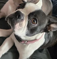 processed/cb1646f6-f37f-4591-8f57-b96d7ba19ab8/listing/fb9e14e4-4fc8-4544-a5ab-039da511ab99/689cc8e9-2428-4fdf-979e-d4ea16d8d891