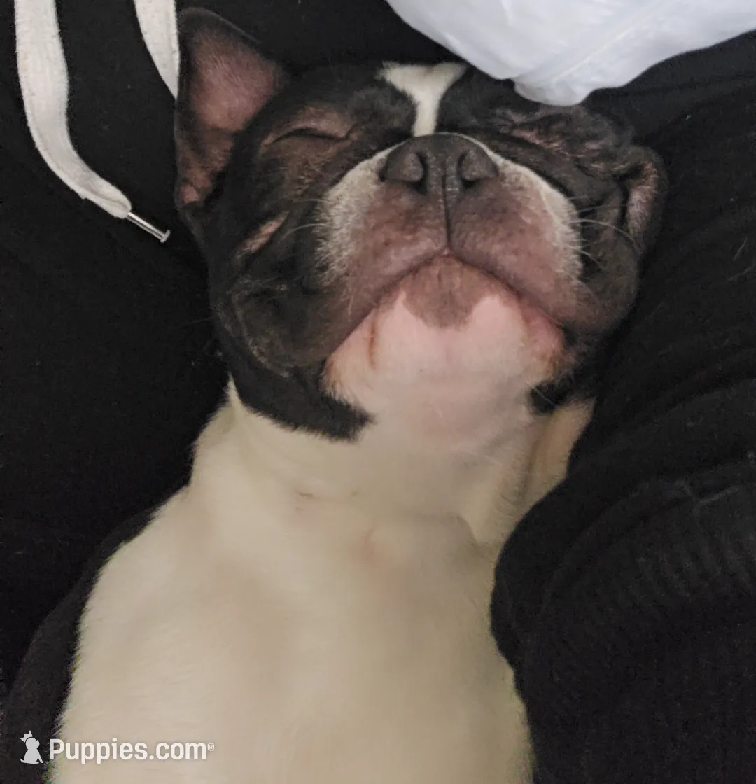 processed/cb1646f6-f37f-4591-8f57-b96d7ba19ab8/listing/fb9e14e4-4fc8-4544-a5ab-039da511ab99/9554c93e-4241-4731-b684-6c06549ab992