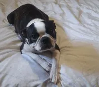 processed/cb1646f6-f37f-4591-8f57-b96d7ba19ab8/listing/fb9e14e4-4fc8-4544-a5ab-039da511ab99/d466d6fa-1311-457e-bf34-2a112eb072c1