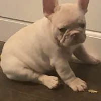 processed/cb1ba49f-97da-4263-83c7-8f3661cb2d3f/facility/bc74cbec-5ae6-4c22-9266-f669df29fc49