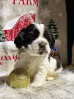 processed/cb1fd13c-e10b-470b-9a4d-d5f87c3cadb9/listing/1502189b-63ff-4219-af77-8aec9ef0000d/158a13c8-f832-4c2a-8c76-1cd84d8e00e4