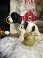 processed/cb1fd13c-e10b-470b-9a4d-d5f87c3cadb9/listing/1502189b-63ff-4219-af77-8aec9ef0000d/90d9422f-95a5-4bbb-9997-780f9d8358a4