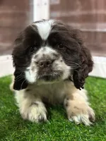 processed/cb1fd13c-e10b-470b-9a4d-d5f87c3cadb9/listing/1502189b-63ff-4219-af77-8aec9ef0000d/96567768-d0ff-40ff-bcbd-4f7affb518b7