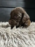 processed/cb1fd13c-e10b-470b-9a4d-d5f87c3cadb9/listing/5dc45c29-89d9-4aca-aa64-80b5dd46bbfc/4dcc9a83-fd17-4c88-95c0-9037ad8f5fcb