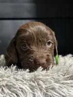 processed/cb1fd13c-e10b-470b-9a4d-d5f87c3cadb9/listing/fe6bdaf6-e8b7-439a-a676-787d9153df1d/d0b30549-1bba-4328-a7a5-87e1ecefa6f3