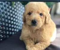 processed/cb2c70e7-b31f-47c3-82d4-da92c07eecb3/facility/14e843ec-c50a-46dd-93d2-930d7dffab48