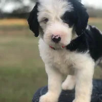 processed/cb2c70e7-b31f-47c3-82d4-da92c07eecb3/facility/38030b06-9231-4402-8e71-cf10d7b90ea9