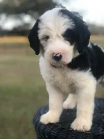 processed/cb2c70e7-b31f-47c3-82d4-da92c07eecb3/facility/38030b06-9231-4402-8e71-cf10d7b90ea9