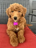 processed/cb2c70e7-b31f-47c3-82d4-da92c07eecb3/facility/3dbb4ac2-d5e4-4fe3-8e6d-1f114e7696db