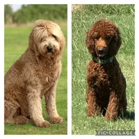 processed/cb2c70e7-b31f-47c3-82d4-da92c07eecb3/facility/4fb6dc6d-e2ae-4ded-8039-804300f779a5