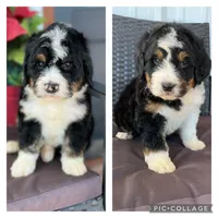 processed/cb2c70e7-b31f-47c3-82d4-da92c07eecb3/facility/624a5276-9aea-4408-b9ed-cb9300749caa