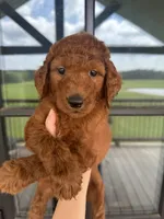 processed/cb2c70e7-b31f-47c3-82d4-da92c07eecb3/facility/ca69afa6-3ab5-4f23-a4ec-0a92e5b46dfb