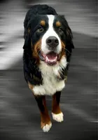 processed/cb2c70e7-b31f-47c3-82d4-da92c07eecb3/listing/4bc8898b-aaa7-496d-b33c-4198923dafed/5c0f7fe4-cb4b-4c22-aba6-6cdbbdca9256