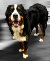 processed/cb2c70e7-b31f-47c3-82d4-da92c07eecb3/listing/4bc8898b-aaa7-496d-b33c-4198923dafed/5e03b199-5d07-4c5c-96a7-a6d95231e7e8