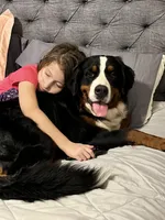 processed/cb2c70e7-b31f-47c3-82d4-da92c07eecb3/listing/4bc8898b-aaa7-496d-b33c-4198923dafed/c87508dc-4833-4db0-94e2-2bceb5a2426f