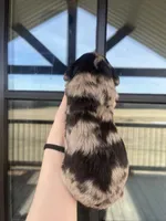 Phantom merle, a male Bernedoodle and Miniature Bernedoodle for sale in Canton, TX – Photo 6 of 6