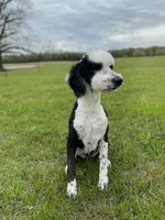 processed/cb2c70e7-b31f-47c3-82d4-da92c07eecb3/listing/b2055a77-ed73-405d-8844-85f083e56d8a/14415043-3f00-4e16-8da9-04acfc5f0b04