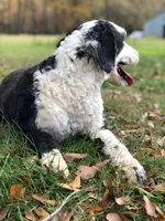 processed/cb2c70e7-b31f-47c3-82d4-da92c07eecb3/listing/b2055a77-ed73-405d-8844-85f083e56d8a/cf2bb33d-0686-4ae9-bf5c-7b8f751f046c