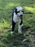 processed/cb2c70e7-b31f-47c3-82d4-da92c07eecb3/listing/b2055a77-ed73-405d-8844-85f083e56d8a/d73dfd03-ddd4-41c5-bbe8-65142d36f810