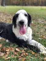 processed/cb2c70e7-b31f-47c3-82d4-da92c07eecb3/listing/b2055a77-ed73-405d-8844-85f083e56d8a/f837caaa-301e-4f5e-a5c5-cda51d5cba2e