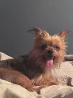 processed/cb351e9a-fcaa-48da-8d90-6b16a6a8eedf/facility/5c474e7a-9f3f-48f8-9a54-7d734d8eab77