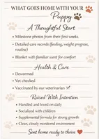 Debbie, a female Labrador Retriever for sale in Belmont, MS – 9 of 10