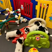 processed/cb5ef297-14f1-4b05-b0ff-3306a915af1e/facility/09014a14-018f-4631-89f3-8f097b4ef3f6