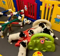 processed/cb5ef297-14f1-4b05-b0ff-3306a915af1e/facility/09014a14-018f-4631-89f3-8f097b4ef3f6