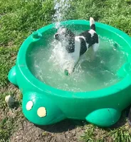 processed/cb5ef297-14f1-4b05-b0ff-3306a915af1e/facility/1ec68017-3c4a-4af3-8075-c116fea16d8b