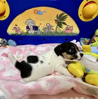 processed/cb5ef297-14f1-4b05-b0ff-3306a915af1e/listing/01e2aa89-4a30-4e7a-91b3-be8158116a1b/240347fc-1645-4780-9ca6-138c8717ab91