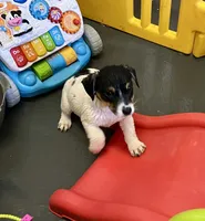 processed/cb5ef297-14f1-4b05-b0ff-3306a915af1e/listing/01e2aa89-4a30-4e7a-91b3-be8158116a1b/9118dd3a-6b37-4100-90d5-09a22c00b19d