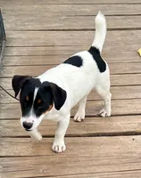 processed/cb5ef297-14f1-4b05-b0ff-3306a915af1e/listing/01e2aa89-4a30-4e7a-91b3-be8158116a1b/bdb8e81a-dfe4-4108-be8b-10989c370e6d