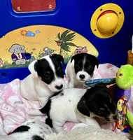 processed/cb5ef297-14f1-4b05-b0ff-3306a915af1e/listing/01e2aa89-4a30-4e7a-91b3-be8158116a1b/beb81fca-b3d5-476f-bcce-50242d191810