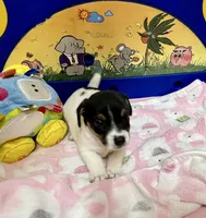 processed/cb5ef297-14f1-4b05-b0ff-3306a915af1e/listing/01e2aa89-4a30-4e7a-91b3-be8158116a1b/e2796435-fba7-47f2-bfa0-d45808f50acb