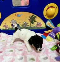 processed/cb5ef297-14f1-4b05-b0ff-3306a915af1e/listing/01e2aa89-4a30-4e7a-91b3-be8158116a1b/e9850ae1-b0ed-45e4-a5ff-9f1dd2dd9ecc