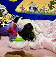 processed/cb5ef297-14f1-4b05-b0ff-3306a915af1e/listing/01e2aa89-4a30-4e7a-91b3-be8158116a1b/ef751b70-3b9c-4afe-816a-deb333609347