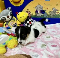 processed/cb5ef297-14f1-4b05-b0ff-3306a915af1e/listing/46571dcd-032c-44ec-b594-3456f17a3f60/216153c6-c3a6-4cf1-8be4-222adfcbe354