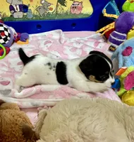 processed/cb5ef297-14f1-4b05-b0ff-3306a915af1e/listing/46571dcd-032c-44ec-b594-3456f17a3f60/7e9afd98-ed53-4b1e-ba56-0af74aedd954