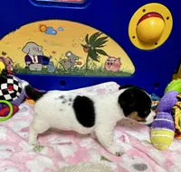 processed/cb5ef297-14f1-4b05-b0ff-3306a915af1e/listing/46571dcd-032c-44ec-b594-3456f17a3f60/8432be76-1e5b-4602-a4d9-0742a657107f