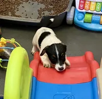 processed/cb5ef297-14f1-4b05-b0ff-3306a915af1e/listing/46571dcd-032c-44ec-b594-3456f17a3f60/b32df6f7-5745-49d7-a62c-6c0ec31ead86