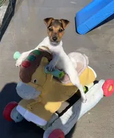 processed/cb5ef297-14f1-4b05-b0ff-3306a915af1e/listing/480a9d21-f51b-472d-861a-81663109b966/346f19f9-2c37-43f5-b784-3120b68464d1