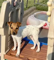 processed/cb5ef297-14f1-4b05-b0ff-3306a915af1e/listing/480a9d21-f51b-472d-861a-81663109b966/34c73b52-77c3-4509-b681-addd3fe99ac9