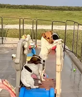 processed/cb5ef297-14f1-4b05-b0ff-3306a915af1e/listing/480a9d21-f51b-472d-861a-81663109b966/51733406-d33c-4ba8-8d00-ddf03ff3e3e4