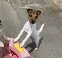 processed/cb5ef297-14f1-4b05-b0ff-3306a915af1e/listing/480a9d21-f51b-472d-861a-81663109b966/6d193bf2-093f-4ca5-96a1-7e57950a4e06