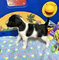 processed/cb5ef297-14f1-4b05-b0ff-3306a915af1e/listing/711ca52d-eff8-4342-99b9-7fe54d41e181/0e5ba577-305e-408b-a78c-11915c8d8620