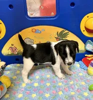 processed/cb5ef297-14f1-4b05-b0ff-3306a915af1e/listing/711ca52d-eff8-4342-99b9-7fe54d41e181/0f3777da-4b9d-4ab1-82cb-b81dbb8b3155